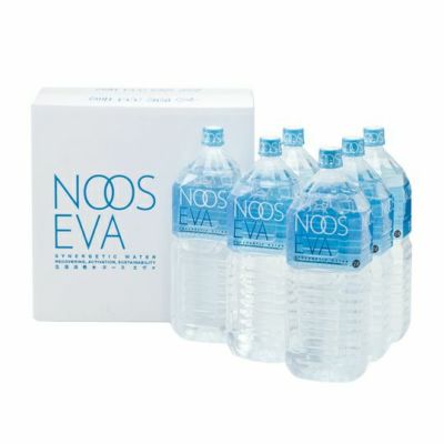 ヌースエヴァ2L6本セット